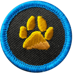 A black embroidered badge with a yellow paw print and blue border, perfect for haunted attraction te.