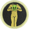 Haunted attraction badge featuring a green skull and crossed bones on black background.